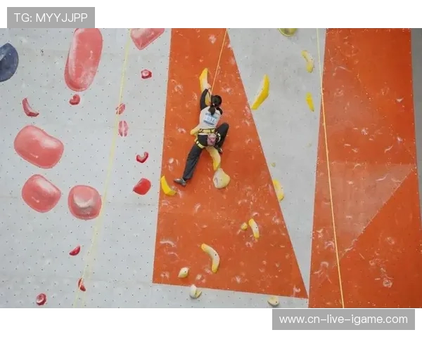 西安攀岩队勇攀高峰的奋斗历程与荣耀时刻全景回顾